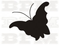 /album/hmyz/hmyz-26-jpg/